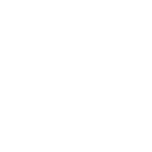 msg - logo